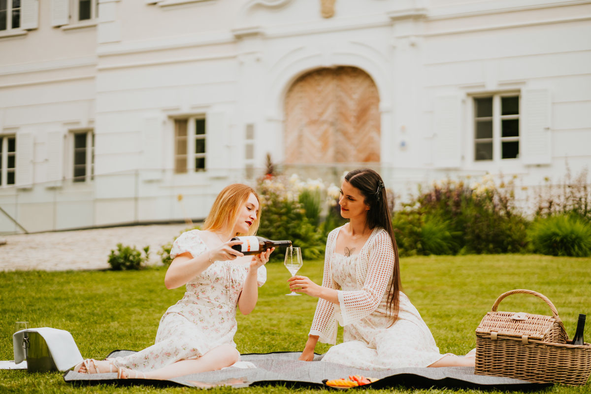 elegance picnic